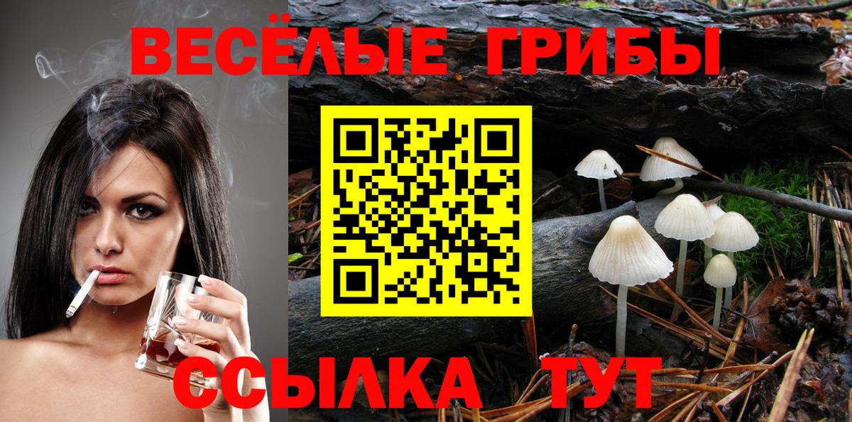 Псилоцибиновые грибы GOLDEN TEACHER  Вход с VPN  Янаул 